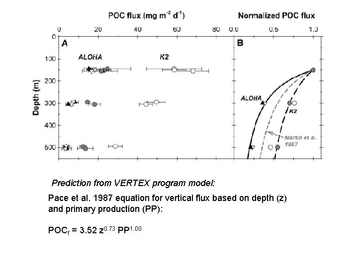 Prediction from VERTEX program model: Pace et al. 1987 equation for vertical flux based