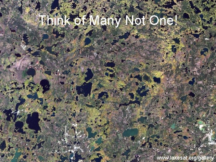 Think of Many Not One! www. lakesat. org/gallery 