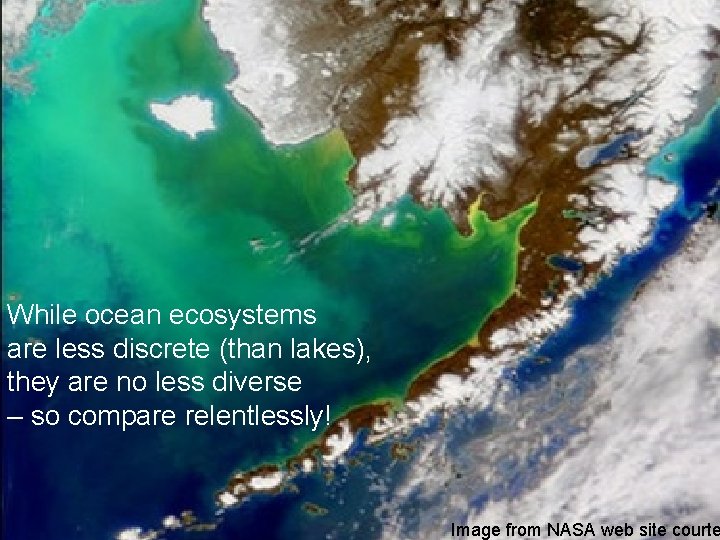While ocean ecosystems are less discrete (than lakes), they are no less diverse –