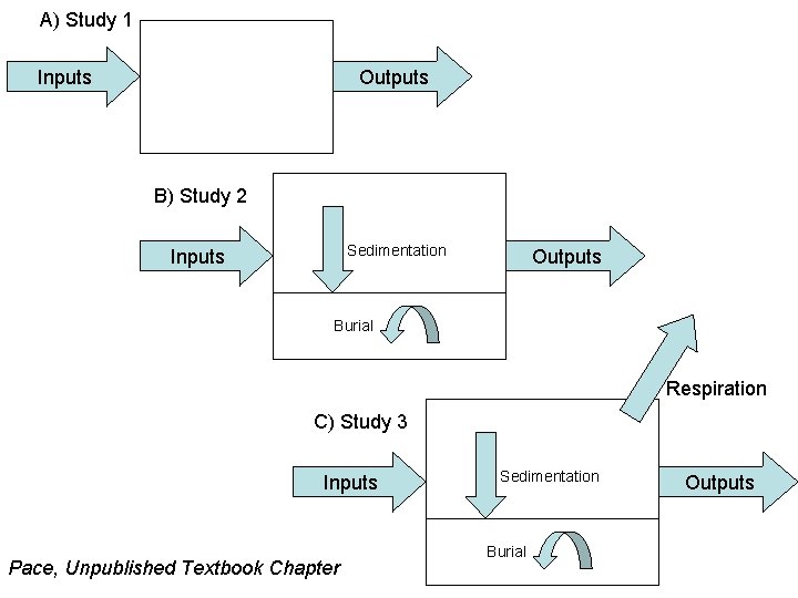 A) Study 1 Inputs Outputs B) Study 2 Sedimentation Inputs Outputs Burial Respiration C)