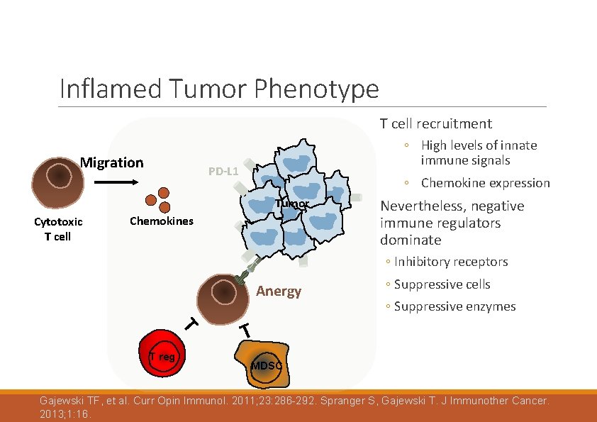 Inflamed Tumor Phenotype T cell recruitment Migration ◦ High levels of innate immune signals