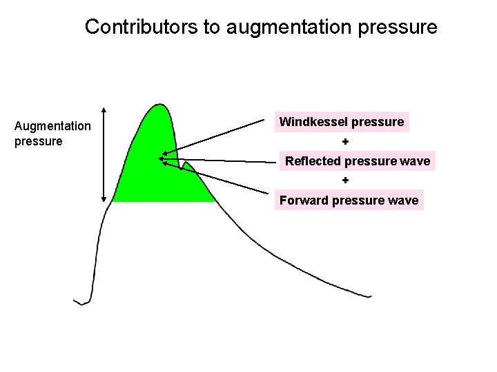 Contributors to augmentation pressure Augmentation pressure Windkessel pressure + Reflected pressure wave + Forward