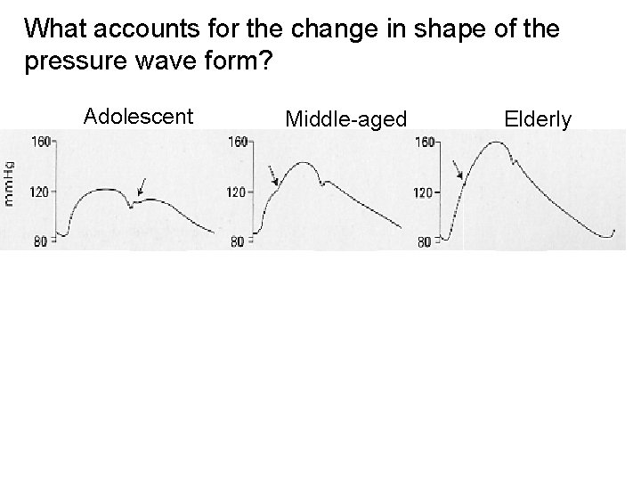 What accounts for the change in shape of the pressure wave form? Adolescent Middle-aged