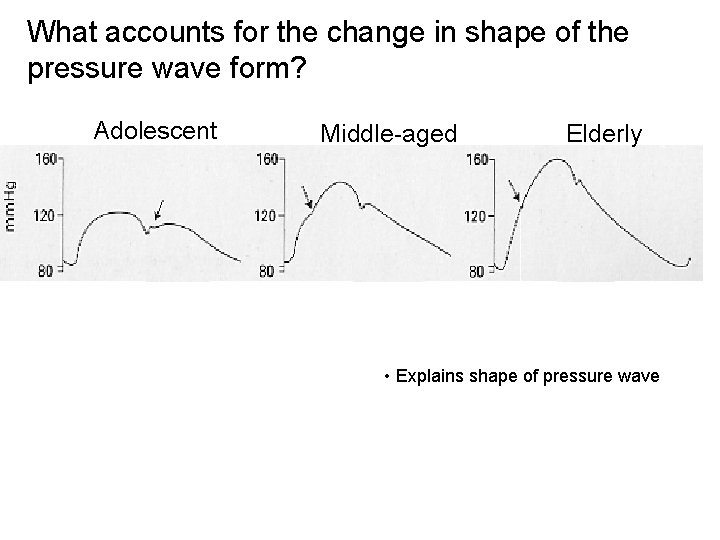 What accounts for the change in shape of the pressure wave form? Adolescent Middle-aged