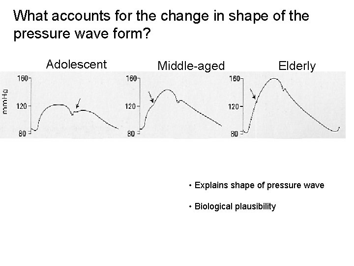 What accounts for the change in shape of the pressure wave form? Adolescent Middle-aged