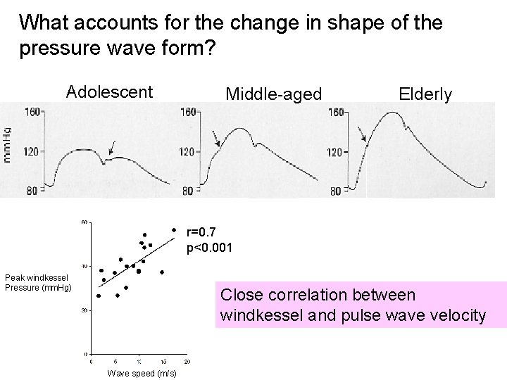 What accounts for the change in shape of the pressure wave form? Adolescent Middle-aged