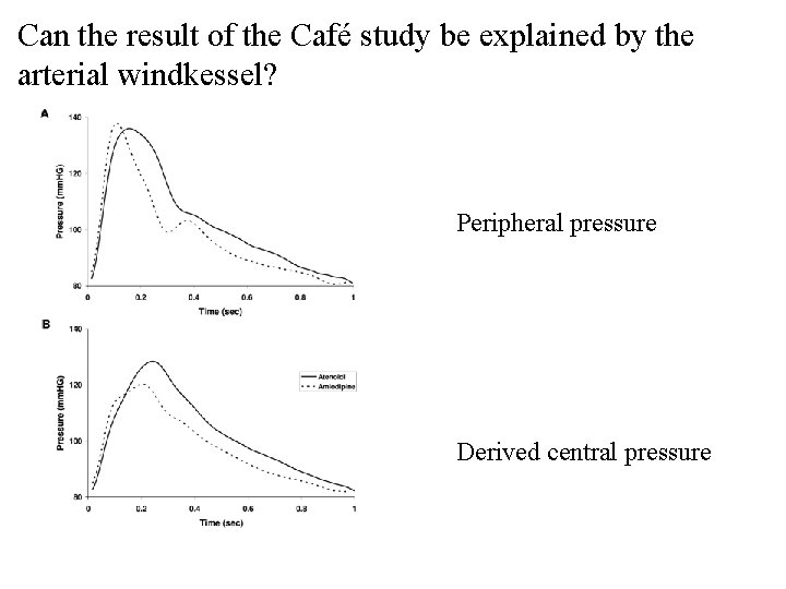 Can the result of the Café study be explained by the arterial windkessel? Peripheral