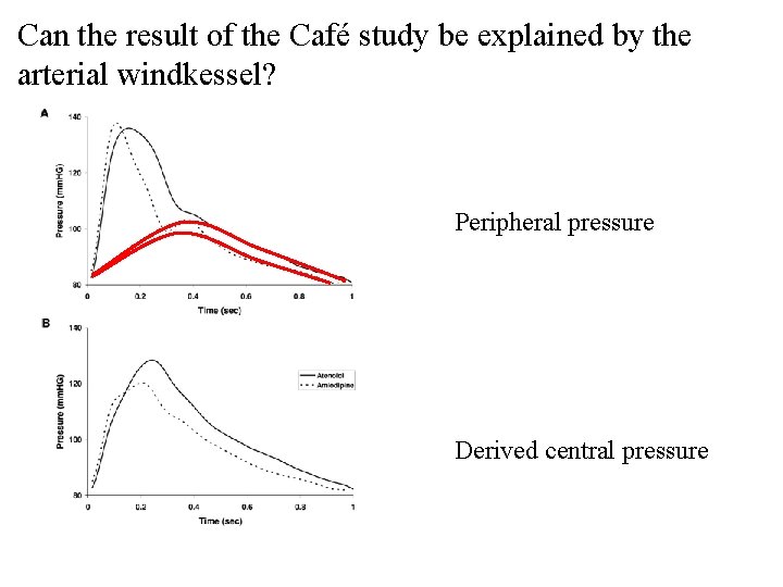 Can the result of the Café study be explained by the arterial windkessel? Peripheral