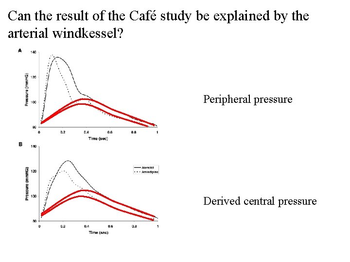 Can the result of the Café study be explained by the arterial windkessel? Peripheral