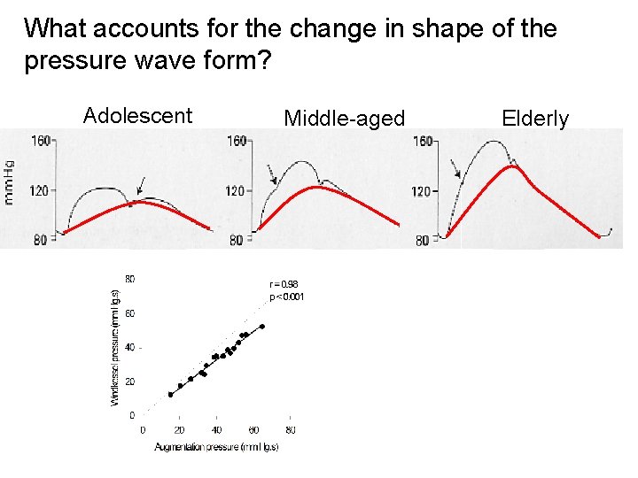 What accounts for the change in shape of the pressure wave form? Adolescent Middle-aged