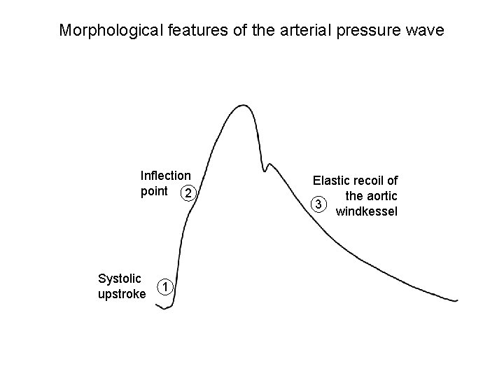 Morphological features of the arterial pressure wave Inflection point 2 Systolic upstroke 1 Elastic