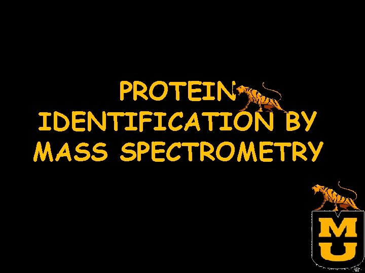 PROTEIN IDENTIFICATION BY MASS SPECTROMETRY 