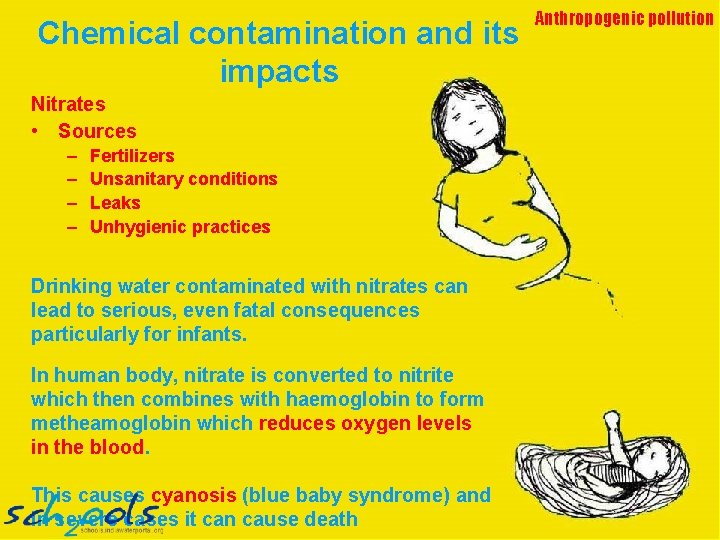 Chemical contamination and its impacts Nitrates • Sources – – Fertilizers Unsanitary conditions Leaks