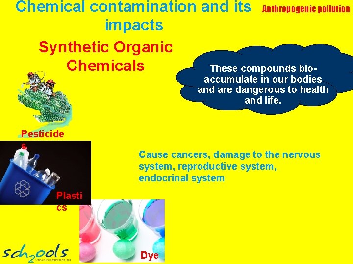 Chemical contamination and its Anthropogenic pollution impacts Synthetic Organic Chemicals These compounds bioaccumulate in