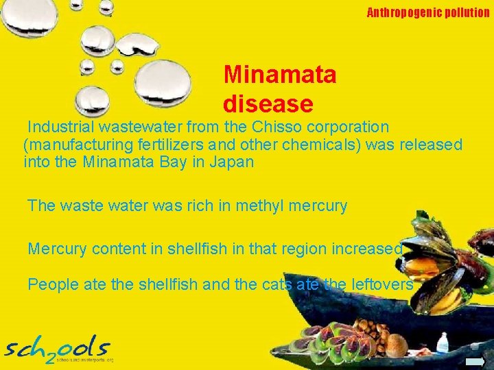 Anthropogenic pollution Minamata disease Industrial wastewater from the Chisso corporation (manufacturing fertilizers and other