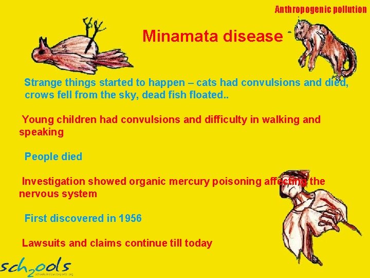 Anthropogenic pollution Minamata disease Strange things started to happen – cats had convulsions and