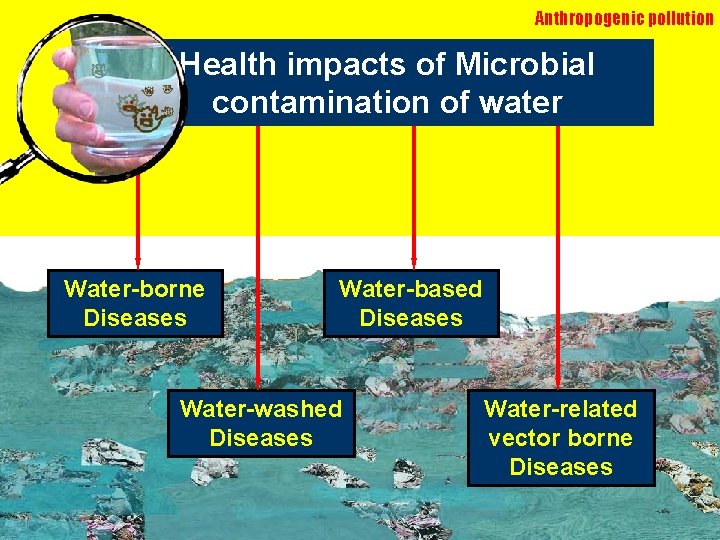 Anthropogenic pollution Health impacts of Microbial contamination of water Water-borne Diseases Water-based Diseases Water-washed