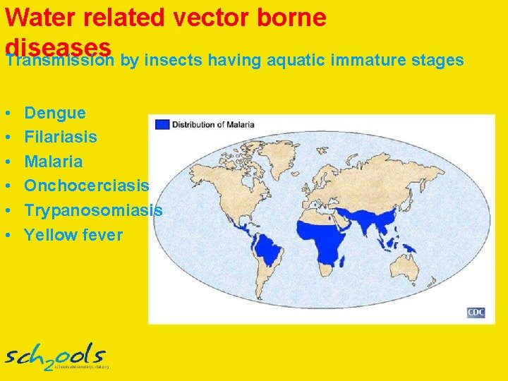 Water related vector borne diseases Transmission by insects having aquatic immature stages • •