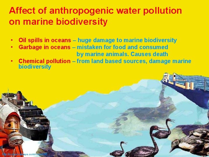 Affect of anthropogenic water pollution on marine biodiversity • Oil spills in oceans –