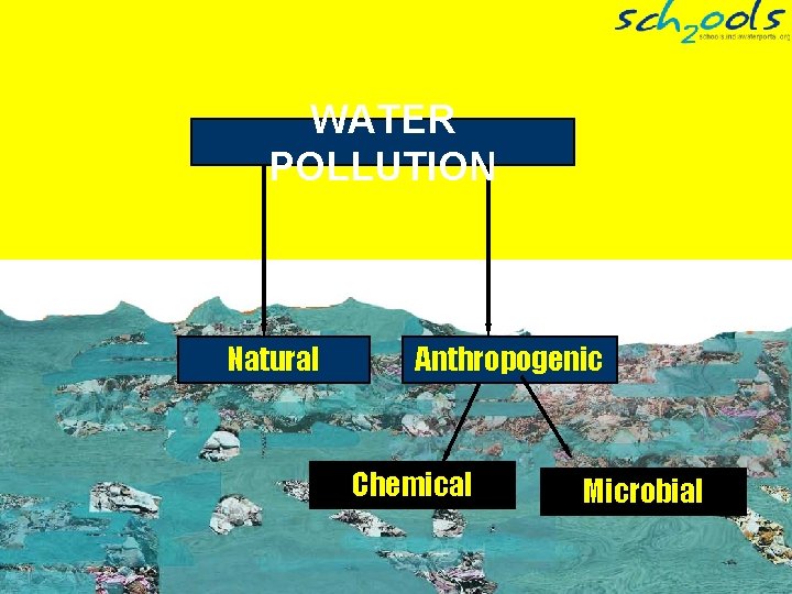 WATER POLLUTION Natural Anthropogenic Chemical Microbial 