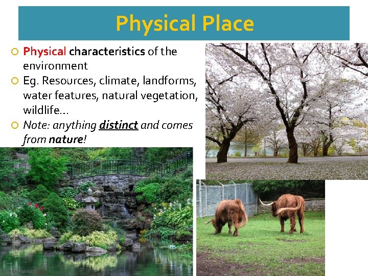 Physical Place Physical characteristics of the environment Eg. Resources, climate, landforms, water features, natural
