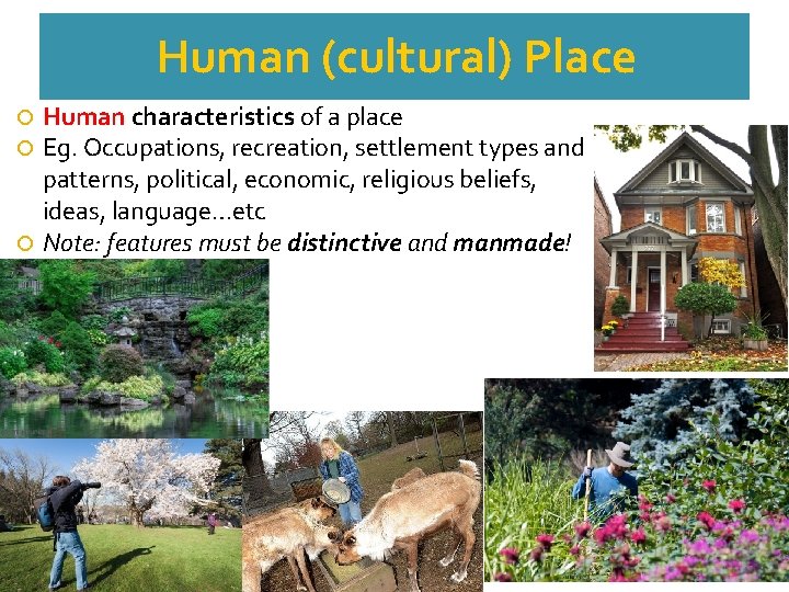 Human (cultural) Place Human characteristics of a place Eg. Occupations, recreation, settlement types and