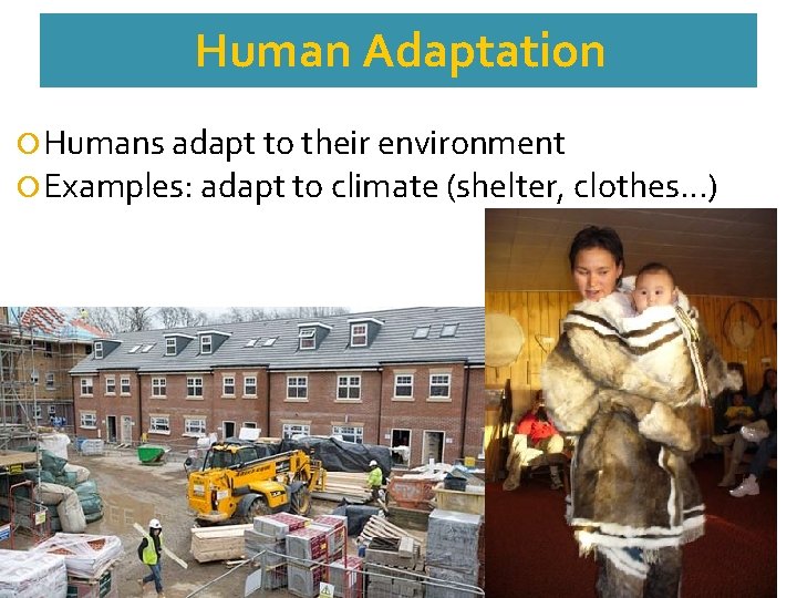 Human Adaptation Humans adapt to their environment Examples: adapt to climate (shelter, clothes…) 