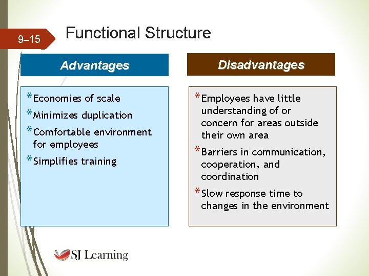 9– 15 Functional Structure Advantages * Economies of scale * Minimizes duplication * Comfortable 9– 15 Functional Structure Advantages * Economies of scale * Minimizes duplication * Comfortable