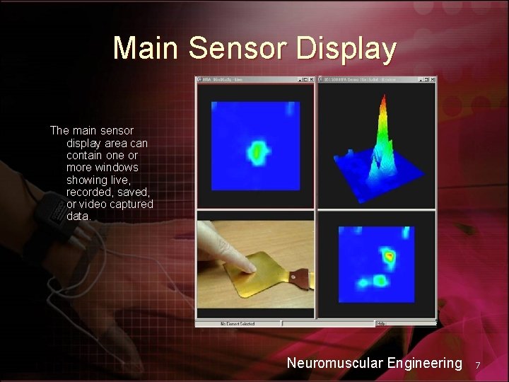 Main Sensor Display The main sensor display area can contain one or more windows