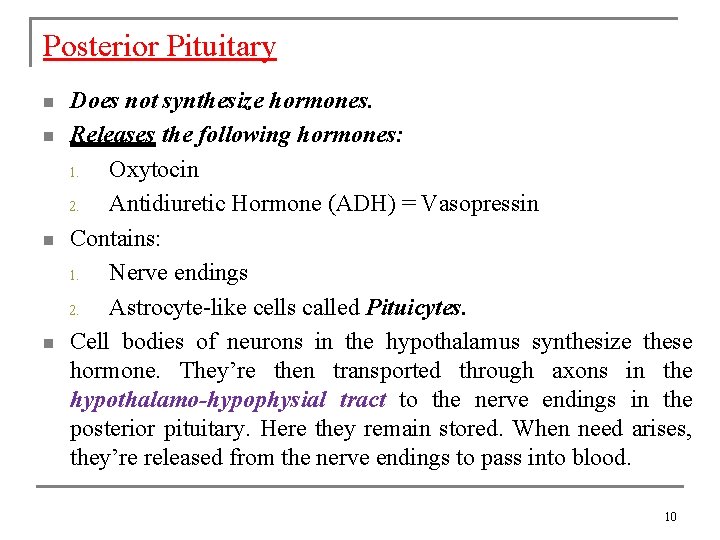 Posterior Pituitary n n Does not synthesize hormones. Releases the following hormones: 1. Oxytocin