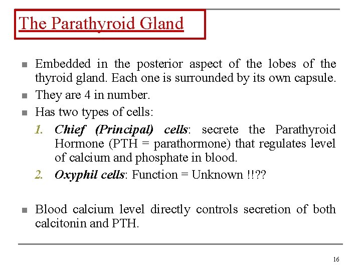 The Parathyroid Gland n n Embedded in the posterior aspect of the lobes of