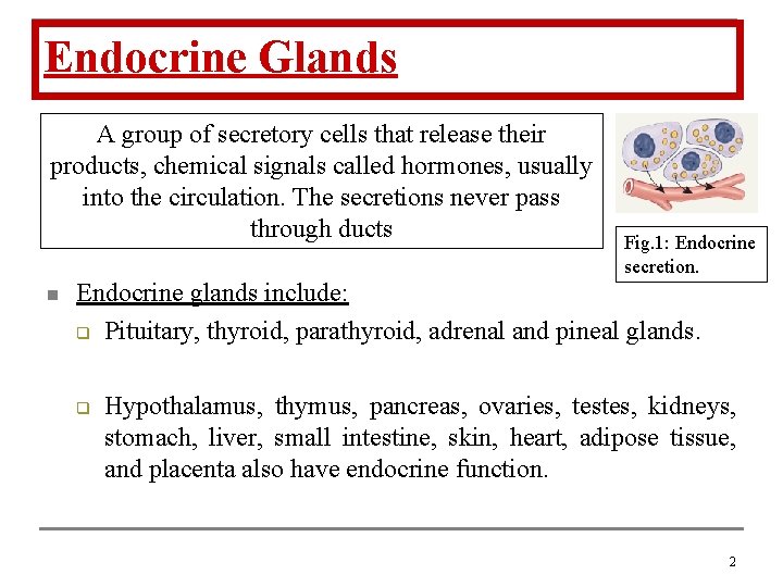 Endocrine Glands A group of secretory cells that release their products, chemical signals called