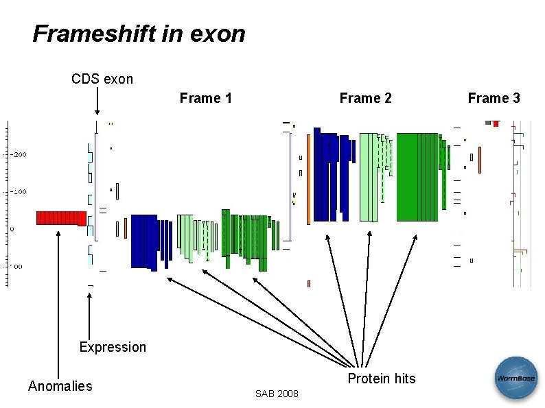 Frameshift in exon CDS exon Frame 1 Frame 2 Expression Anomalies Protein hits SAB