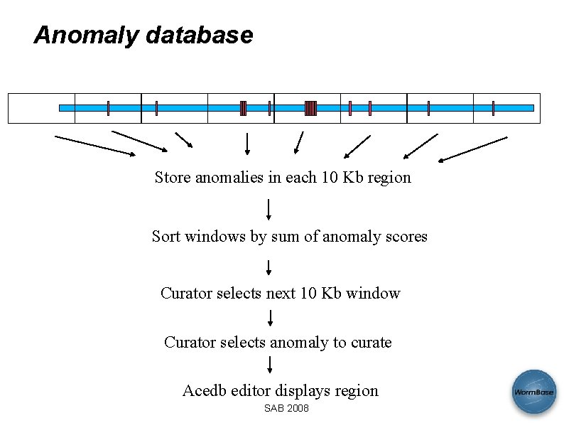 Anomaly database Store anomalies in each 10 Kb region Sort windows by sum of