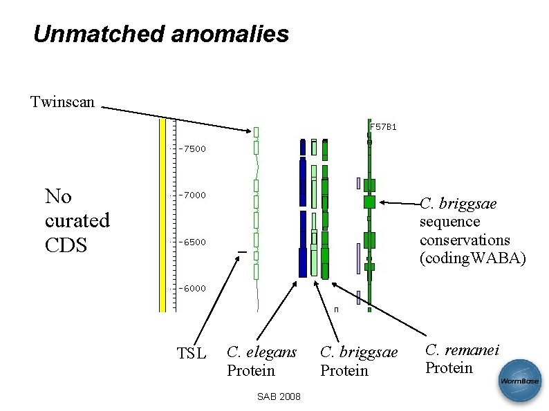 Unmatched anomalies Twinscan No curated CDS C. briggsae sequence conservations (coding. WABA) TSL C.