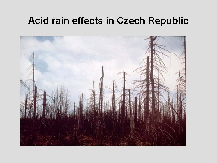 Acid rain effects in Czech Republic 