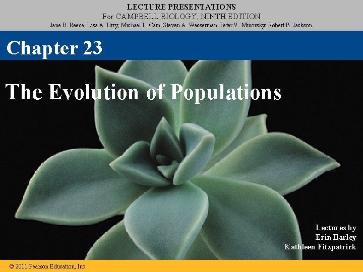 LECTURE PRESENTATIONS For CAMPBELL BIOLOGY, NINTH EDITION Jane B. Reece, Lisa A. Urry, Michael