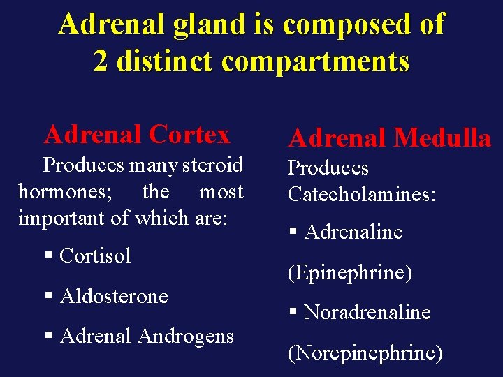 Adrenal gland is composed of 2 distinct compartments Adrenal Cortex Produces many steroid hormones;