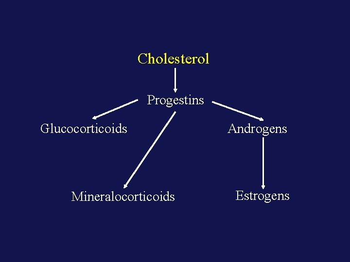 Cholesterol Progestins Glucocorticoids Mineralocorticoids Androgens Estrogens 