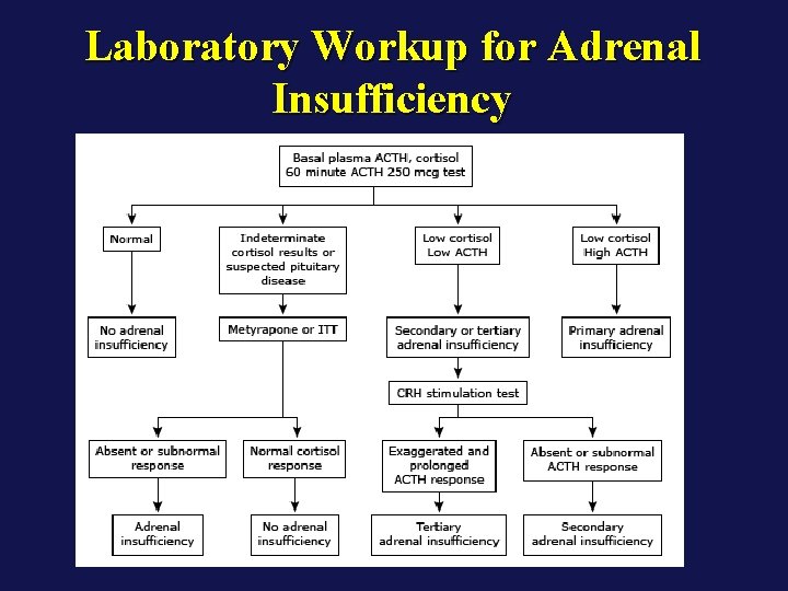 Laboratory Workup for Adrenal Insufficiency 
