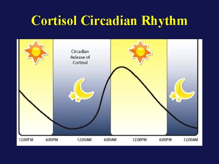Cortisol Circadian Rhythm 