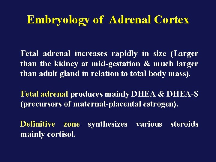 Embryology of Adrenal Cortex Fetal adrenal increases rapidly in size (Larger than the kidney