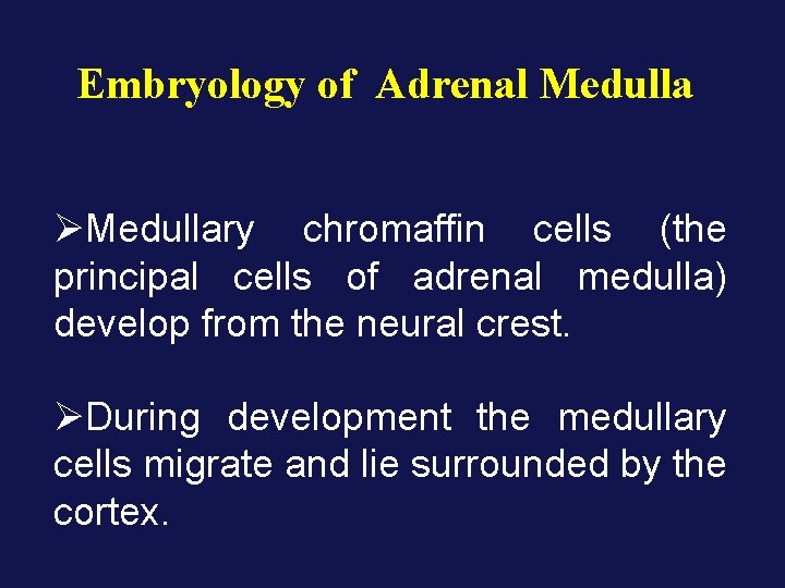 Embryology of Adrenal Medulla ØMedullary chromaffin cells (the principal cells of adrenal medulla) develop