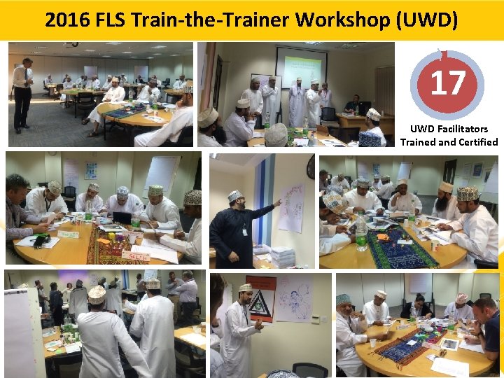 2016 FLS Train-the-Trainer Workshop (UWD) 17 UWD Facilitators Trained and Certified 