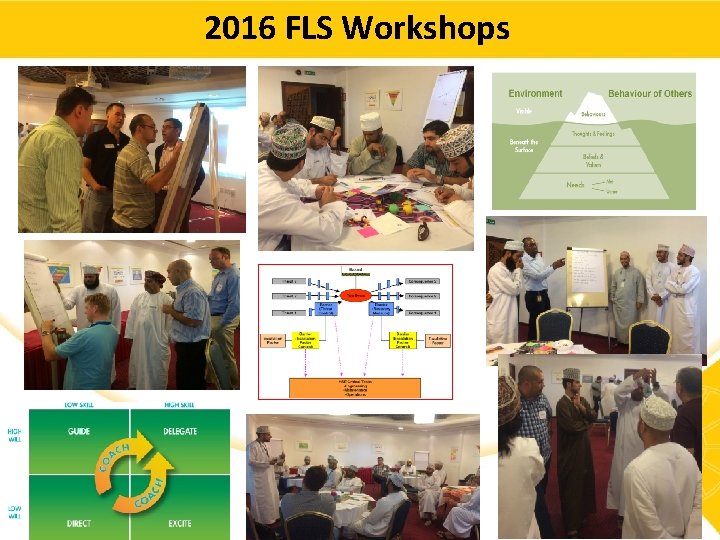 2016 FLS Workshops 