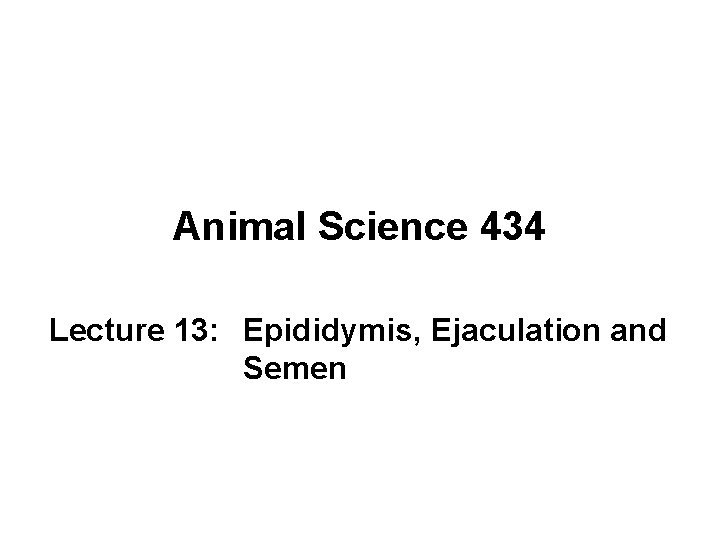 Animal Science 434 Lecture 13: Epididymis, Ejaculation and Semen 