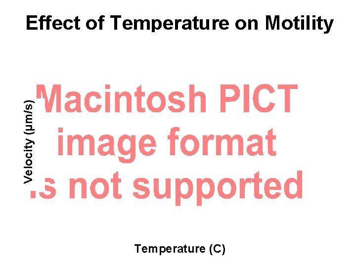 Velocity (µm/s) Effect of Temperature on Motility Temperature (C) 