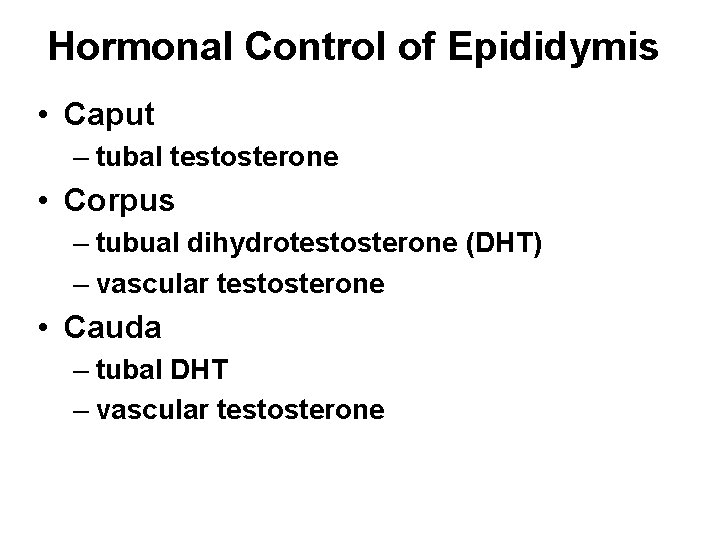 Hormonal Control of Epididymis • Caput – tubal testosterone • Corpus – tubual dihydrotestosterone