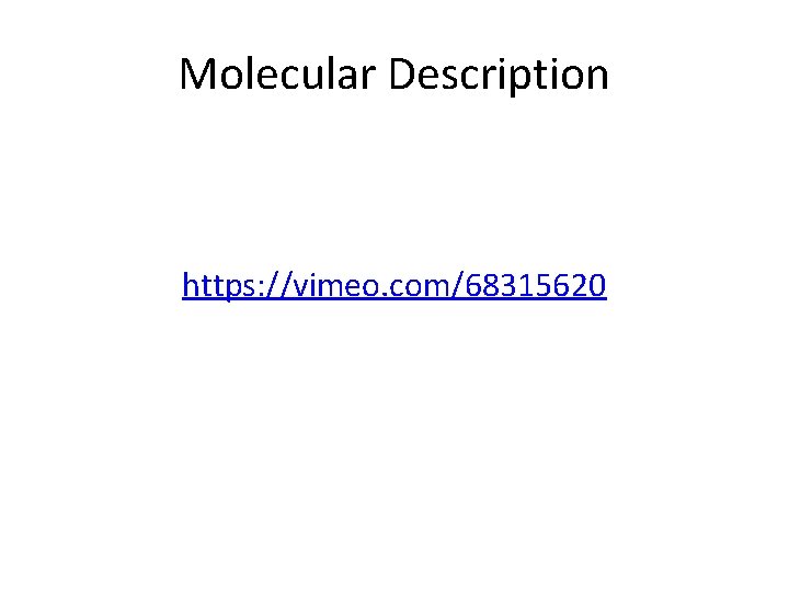 Molecular Description https: //vimeo. com/68315620 