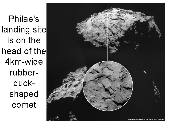 Philae's landing site is on the head of the 4 km-wide rubberduckshaped comet 